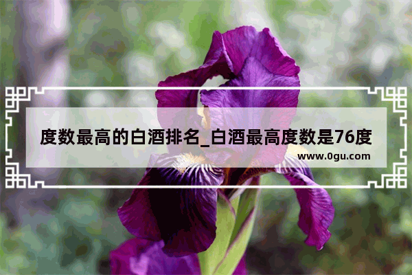 度数最高的白酒排名_白酒最高度数是76度是什么酒