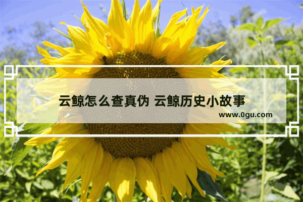 云鲸怎么查真伪 云鲸历史小故事