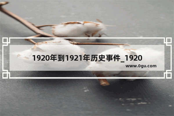 1920年到1921年历史事件_1920年到1949年的历史及意义