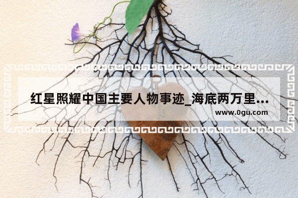 红星照耀中国主要人物事迹_海底两万里红海一章中艇长的形象