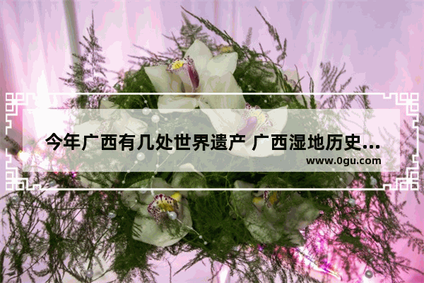 今年广西有几处世界遗产 广西湿地历史文化遗存