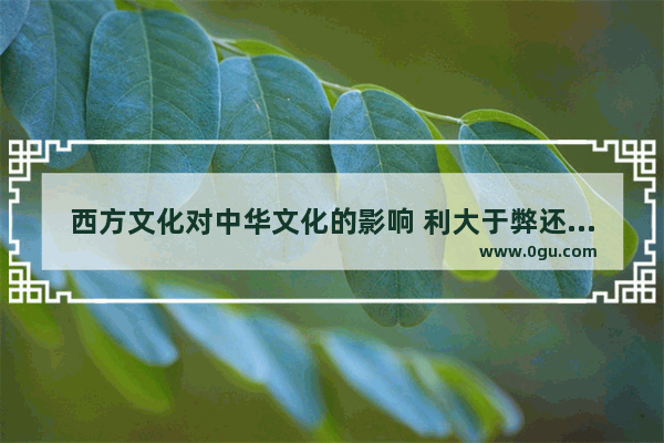 西方文化对中华文化的影响 利大于弊还是弊大于利 西方历史文化概要