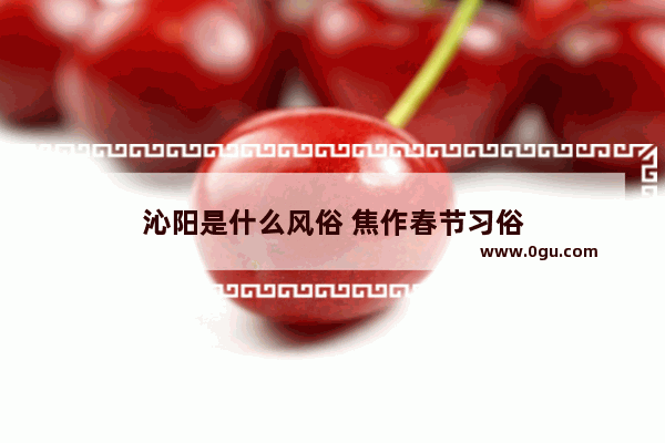 沁阳是什么风俗 焦作春节习俗