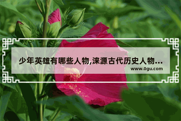 少年英雄有哪些人物,涞源古代历史人物简介