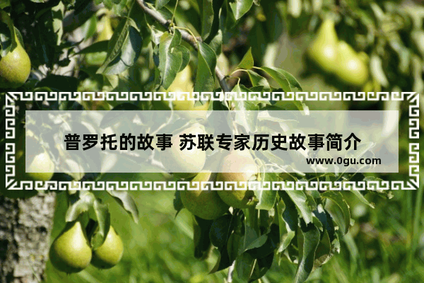 普罗托的故事 苏联专家历史故事简介