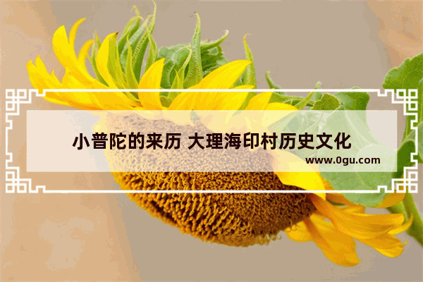 小普陀的来历 大理海印村历史文化