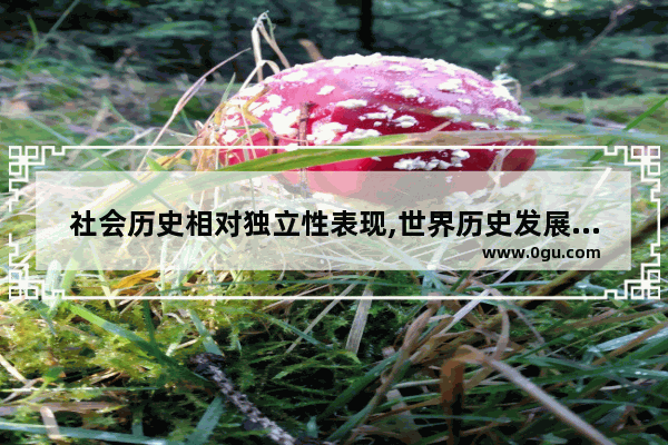 社会历史相对独立性表现,世界历史发展不平衡性
