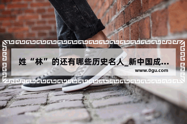 姓“林”的还有哪些历史名人_新中国成立之前的爱国英雄的故事