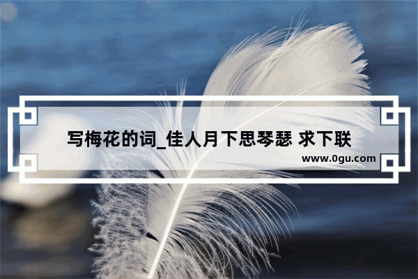 写梅花的词_佳人月下思琴瑟 求下联