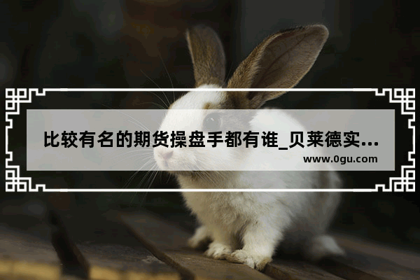 比较有名的期货操盘手都有谁_贝莱德实际控制人