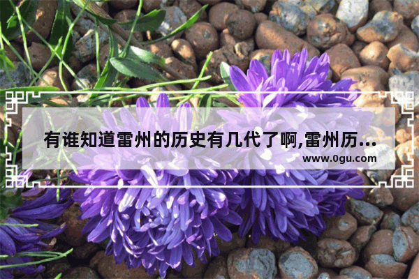 有谁知道雷州的历史有几代了啊,雷州历史文化视频讲解