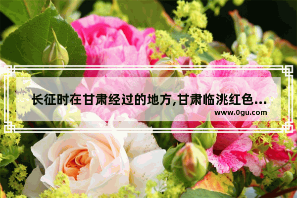 长征时在甘肃经过的地方,甘肃临洮红色历史故事