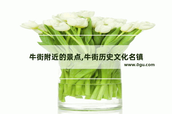 牛街附近的景点,牛街历史文化名镇