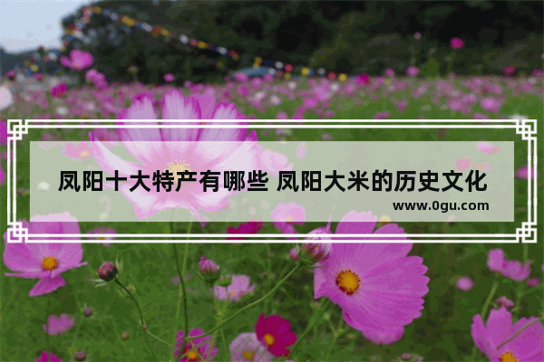凤阳十大特产有哪些 凤阳大米的历史文化
