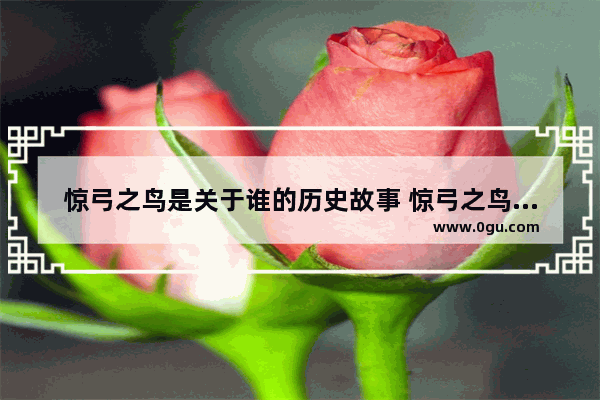 惊弓之鸟是关于谁的历史故事 惊弓之鸟是历史故事