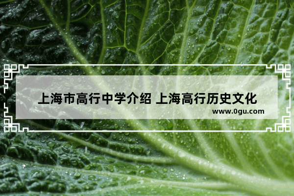 上海市高行中学介绍 上海高行历史文化
