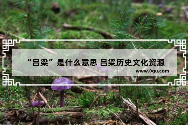 “吕梁”是什么意思 吕梁历史文化资源