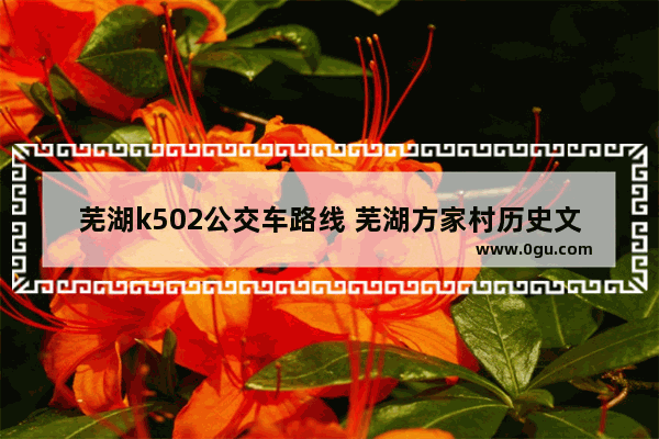 芜湖k502公交车路线 芜湖方家村历史文化