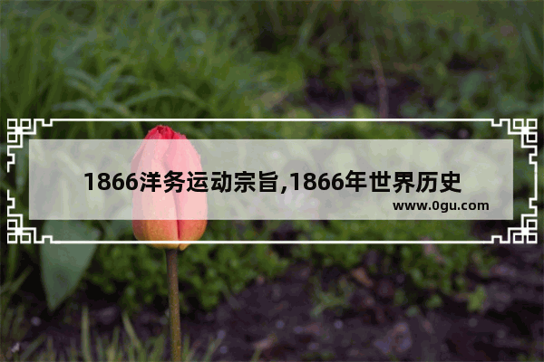1866洋务运动宗旨,1866年世界历史大事件