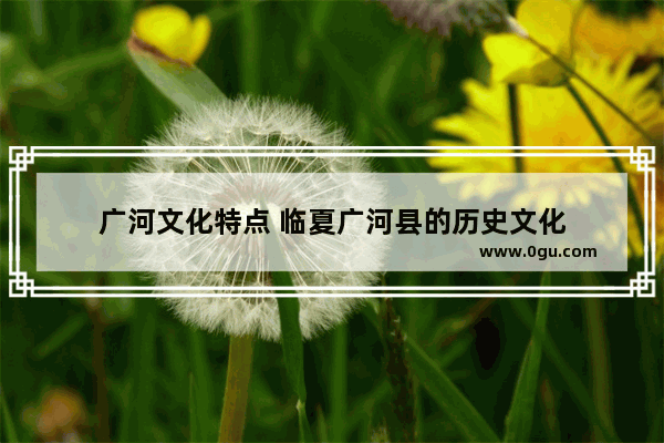 广河文化特点 临夏广河县的历史文化