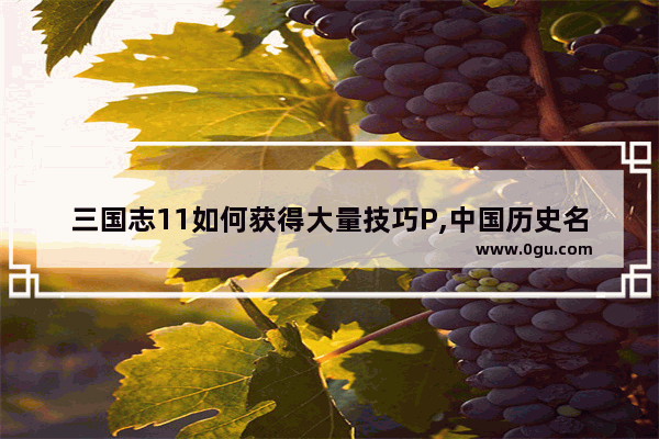 三国志11如何获得大量技巧P,中国历史名将q图