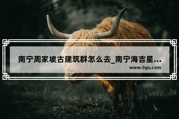 南宁周家坡古建筑群怎么去_南宁海吉星批发市场有地铁站吗