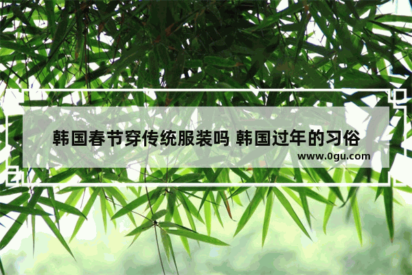 韩国春节穿传统服装吗 韩国过年的习俗