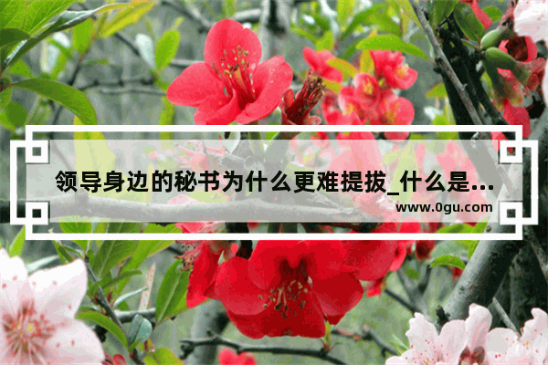 领导身边的秘书为什么更难提拔_什么是秘书心理学