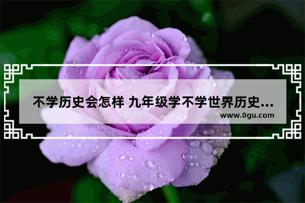 不学历史会怎样 九年级学不学世界历史知识