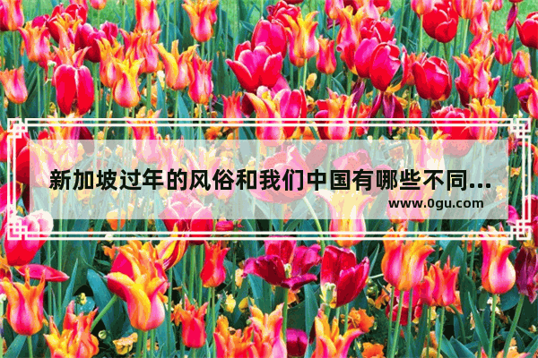 新加坡过年的风俗和我们中国有哪些不同 新加坡的春节习俗