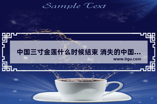 中国三寸金莲什么时候结束 消失的中国习俗