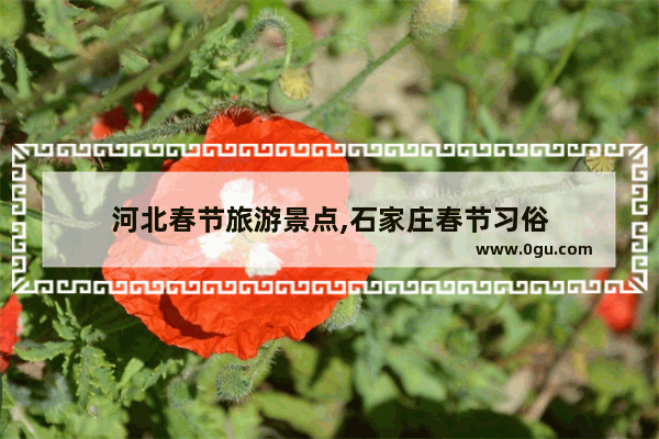 河北春节旅游景点,石家庄春节习俗