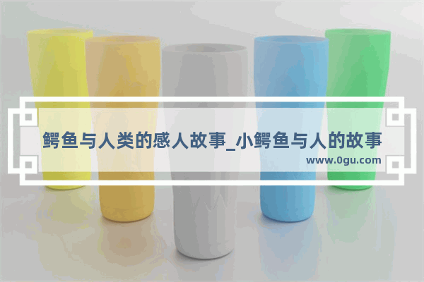 鳄鱼与人类的感人故事_小鳄鱼与人的故事