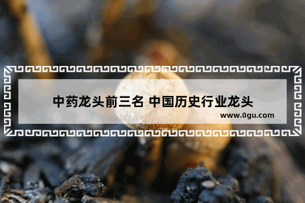 中药龙头前三名 中国历史行业龙头