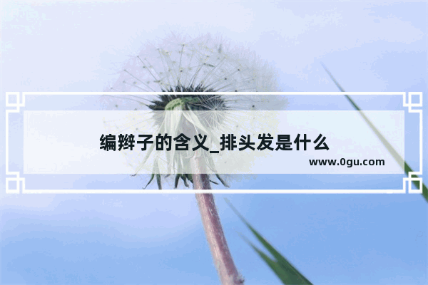 编辫子的含义_排头发是什么