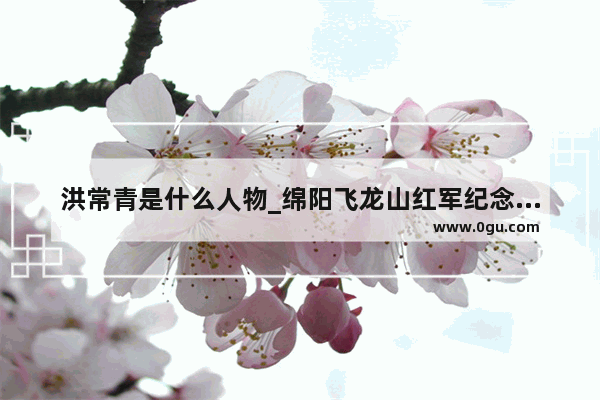 洪常青是什么人物_绵阳飞龙山红军纪念馆参观流程