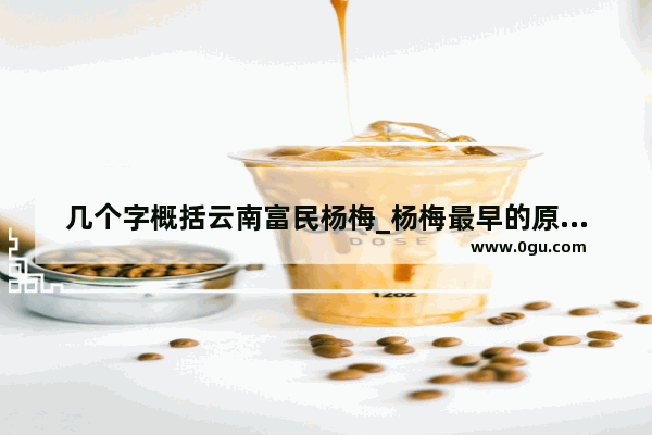 几个字概括云南富民杨梅_杨梅最早的原产地是那里