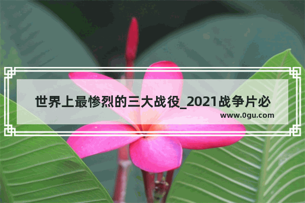 世界上最惨烈的三大战役_2021战争片必看10大电影