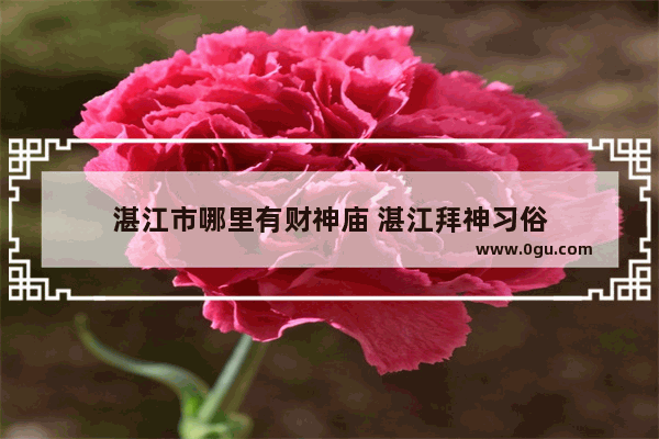 湛江市哪里有财神庙 湛江拜神习俗