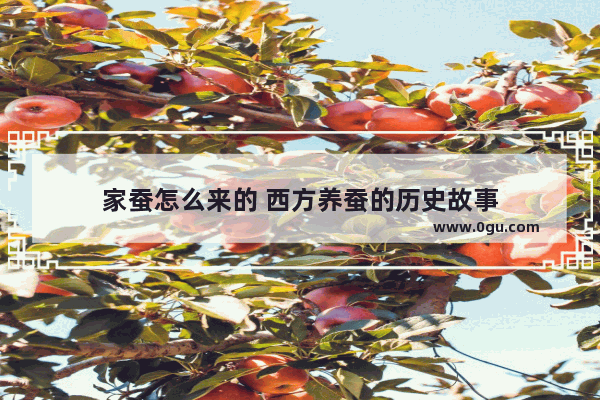 家蚕怎么来的 西方养蚕的历史故事