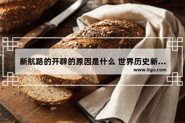 新航路的开辟的原因是什么 世界历史新航路开辟原因