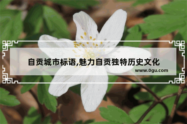 自贡城市标语,魅力自贡独特历史文化