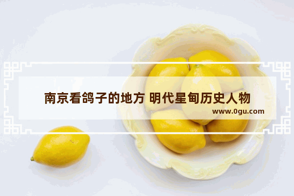 南京看鸽子的地方 明代星甸历史人物
