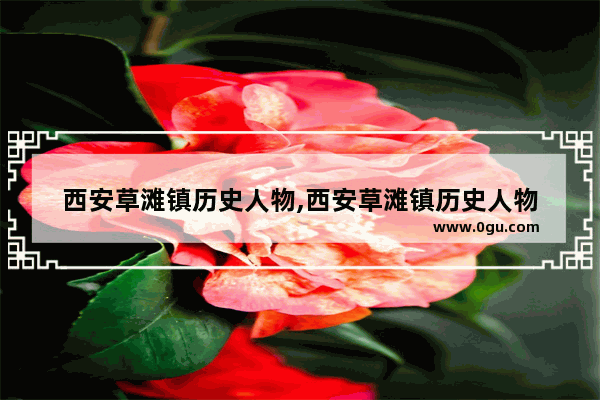 西安草滩镇历史人物,西安草滩镇历史人物