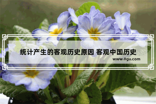 统计产生的客观历史原因 客观中国历史
