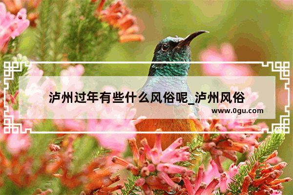 泸州过年有些什么风俗呢_泸州风俗