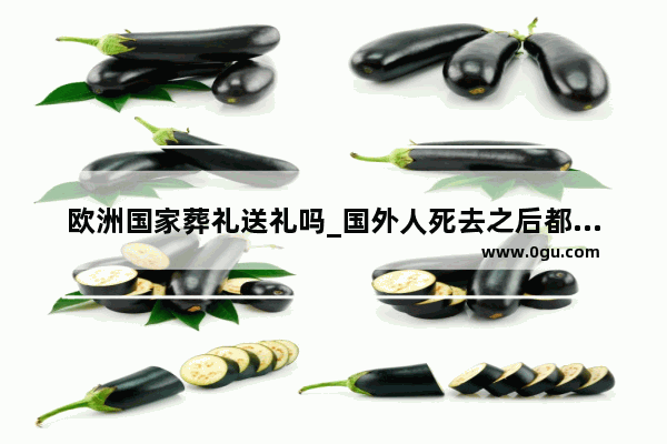 欧洲国家葬礼送礼吗_国外人死去之后都是如何下葬的