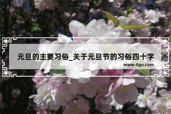 元旦的主要习俗_关于元旦节的习俗四十字