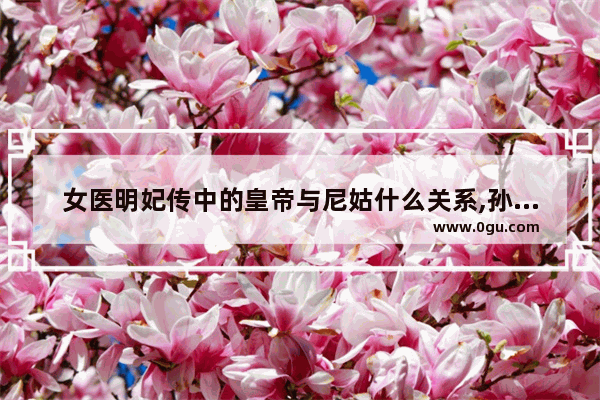 女医明妃传中的皇帝与尼姑什么关系,孙太后历史故事简介
