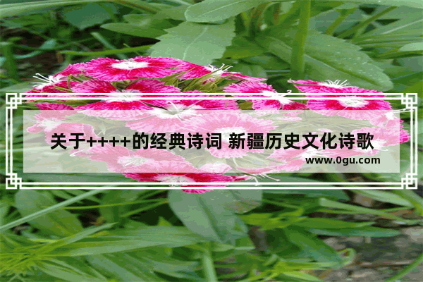 关于++++的经典诗词 新疆历史文化诗歌大全